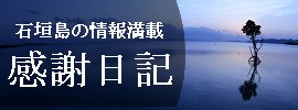 ӓL